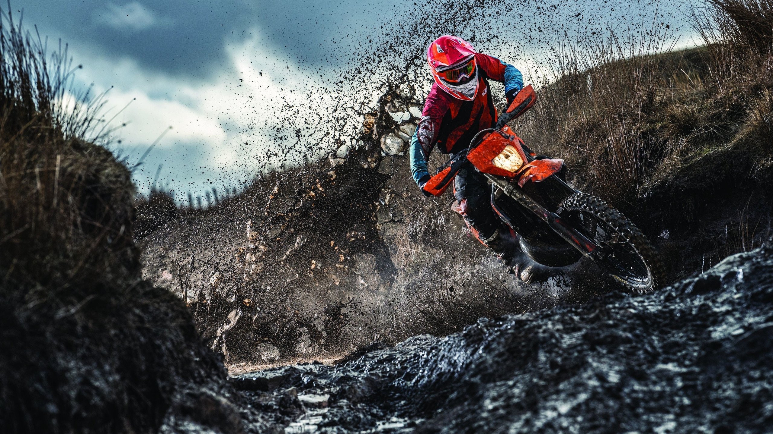 开云体育登录-西亚卡姆狂轰42分！热火防线在他面前形同虚设  第2张